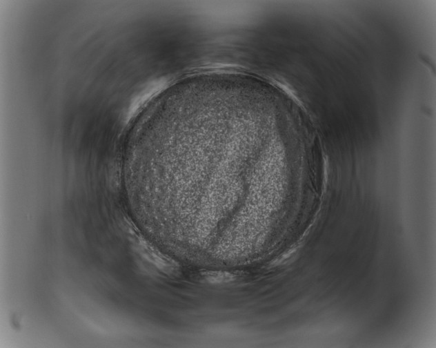 X0000099941405200806061507
