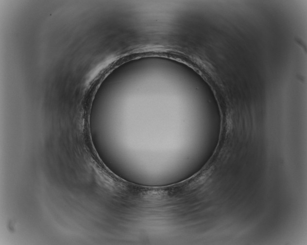 X0000099941406200806061507
