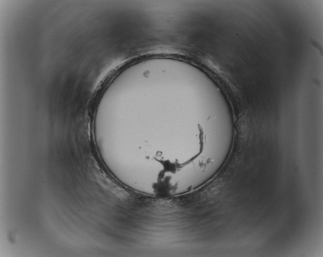 X0000099941408200806061507