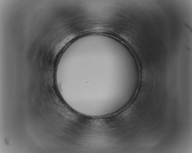 X0000099941410200806061507