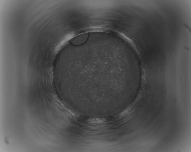X0000099941411200806061507