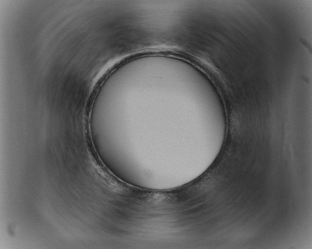 X0000099941412200806061507
