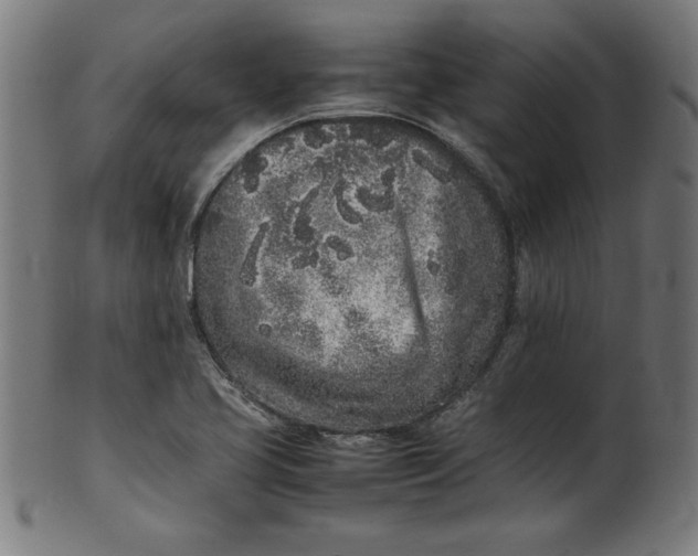 X0000099941413200806061507