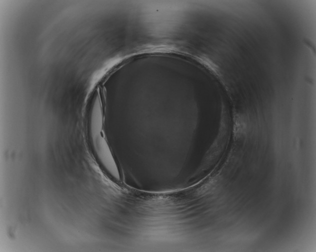 X0000099941414200806061507