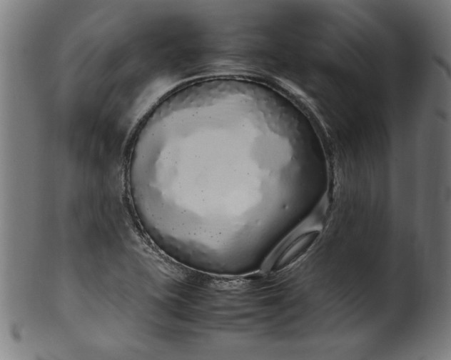 X0000099941415200806061507