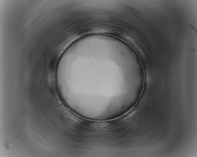 X0000099941417200806061507