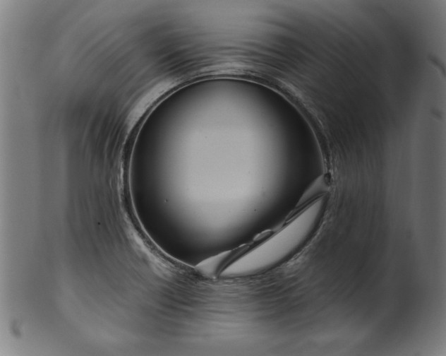 X0000099941418200806061507