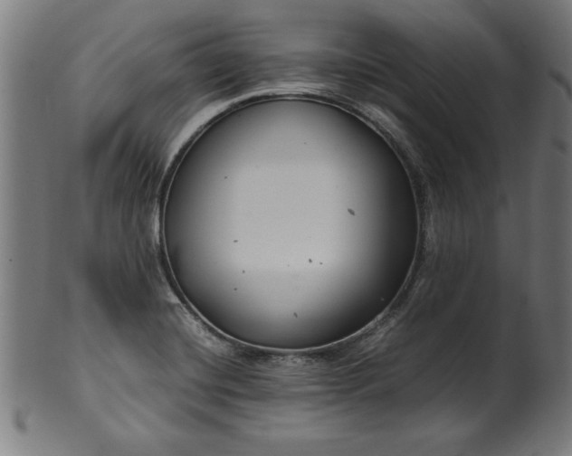 X0000099941420200806061507