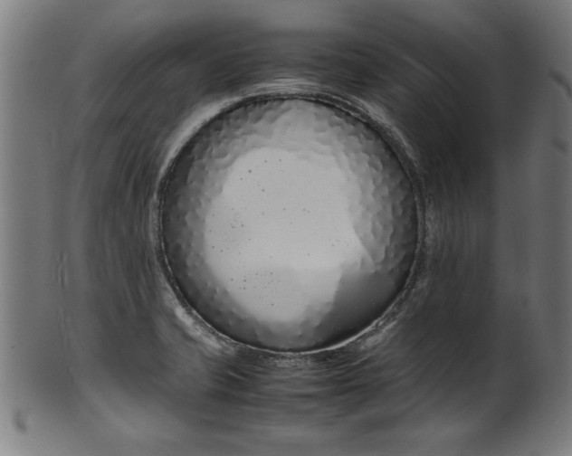 X0000099941421200806061507