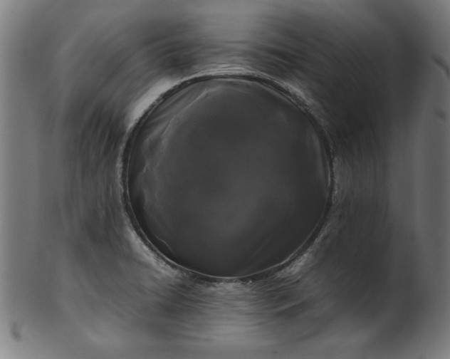 X0000099941422200806061507