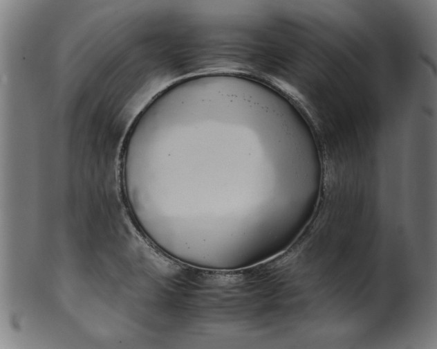 X0000099941423200806061507