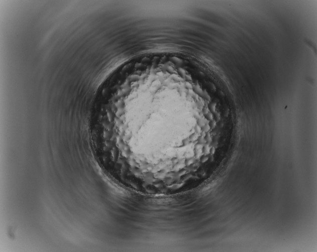 X0000099941425200806061507