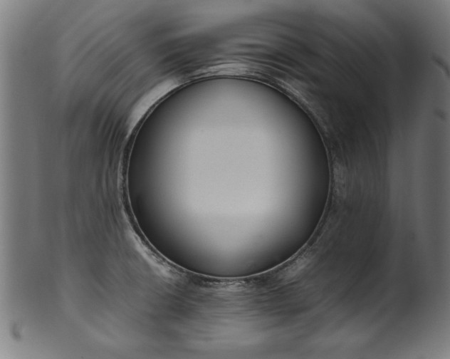 X0000099941426200806061507