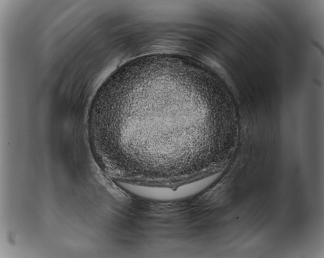 X0000099941427200806061507