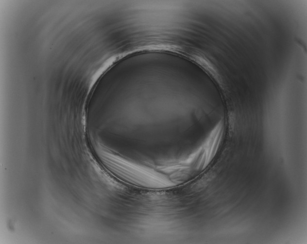 X0000099941428200806061507