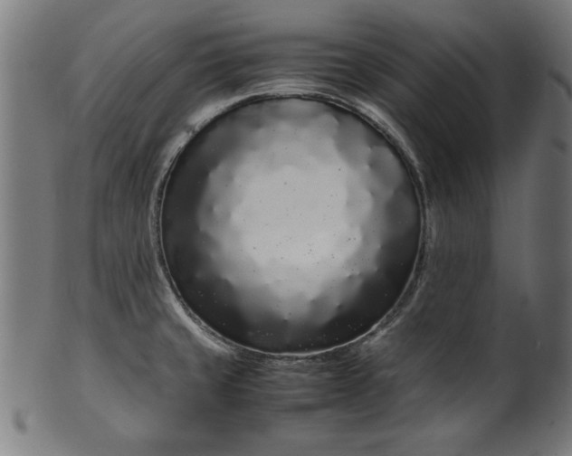 X0000099941429200806061507