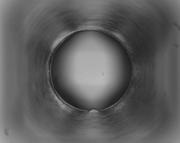 X0000099941430200806061507