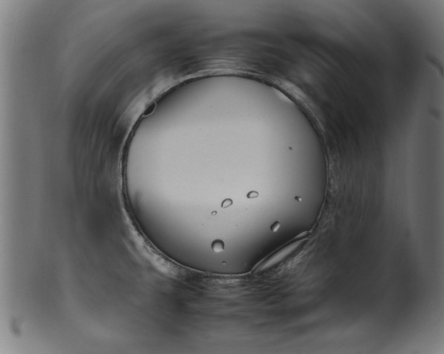 X0000099941431200806061507