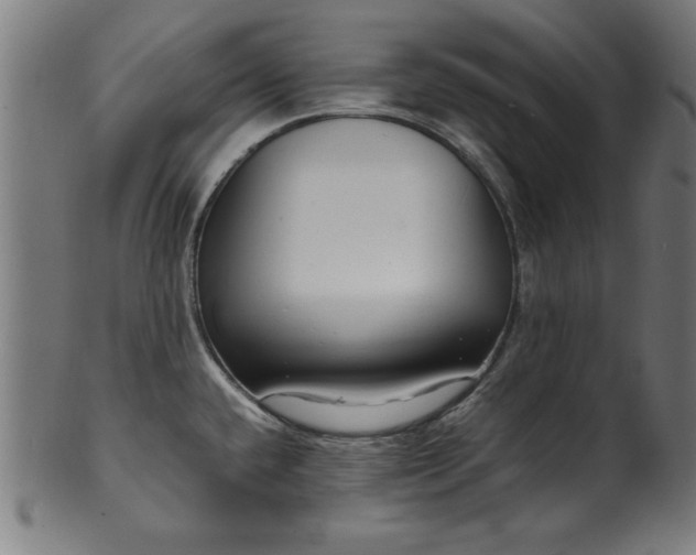 X0000099941432200806061507