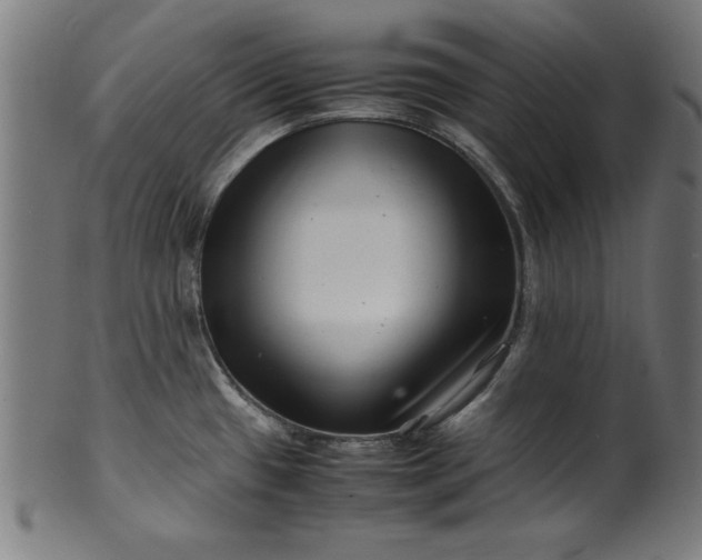 X0000099941433200806061507