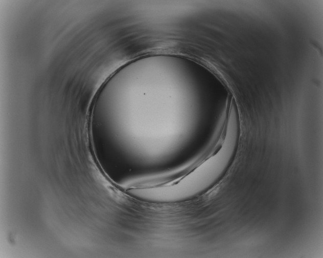 X0000099941434200806061507