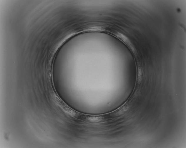 X0000099941435200806061507