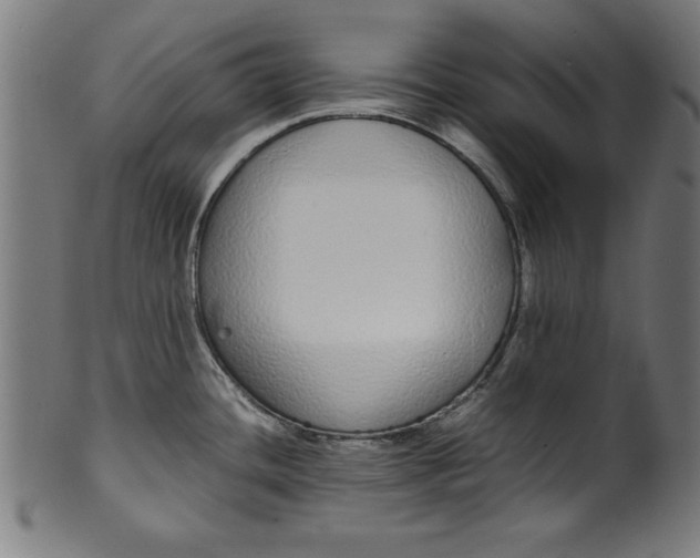 X0000099941436200806061507