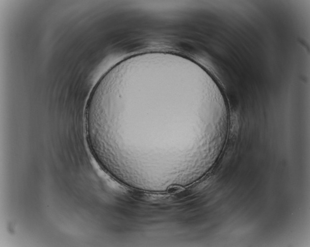 X0000099941439200806061507