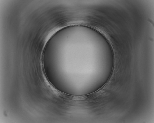 X0000099941440200806061507