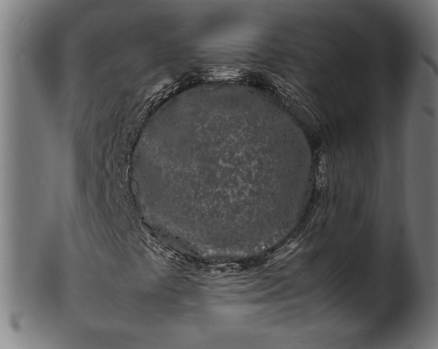 X0000099941441200806061507