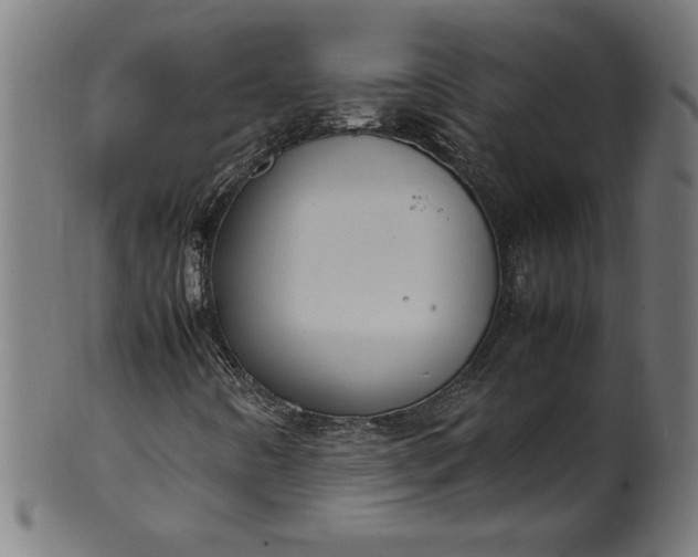 X0000099941442200806061507
