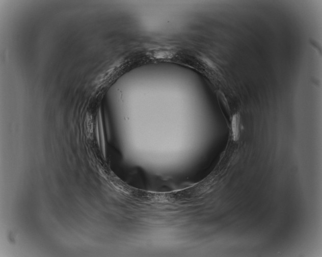 X0000099941443200806061507