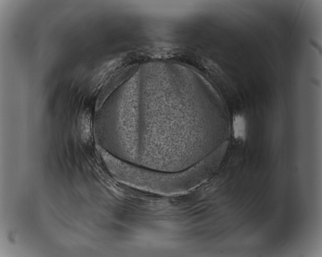 X0000099941444200806061507