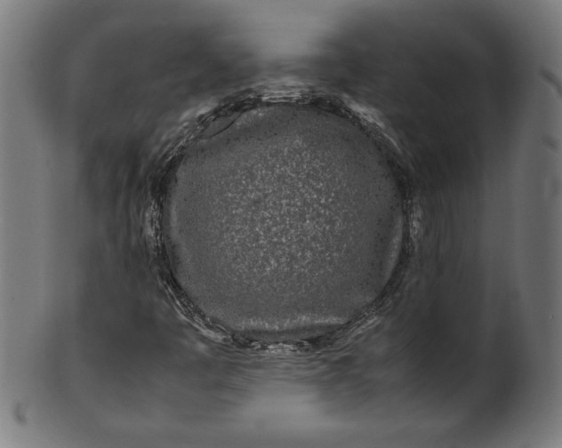 X0000099941445200806061507