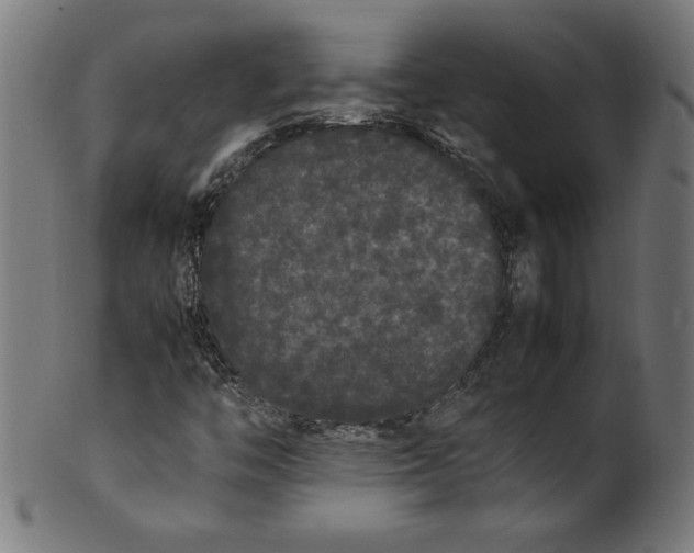 X0000099941446200806061507