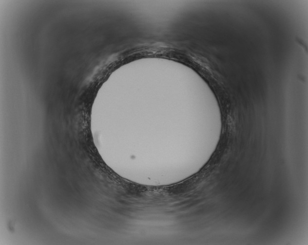 X0000099941447200806061507