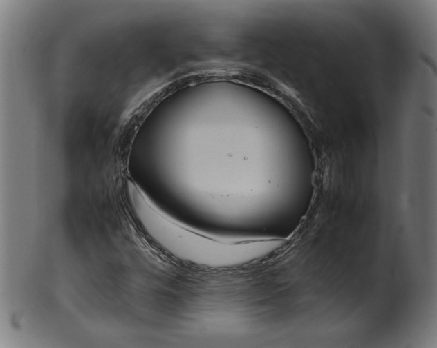 X0000099941448200806061507