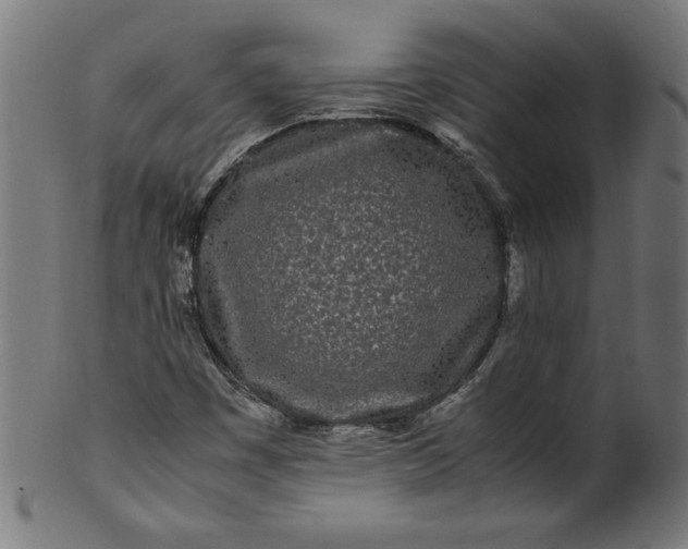 X0000099941449200806061507