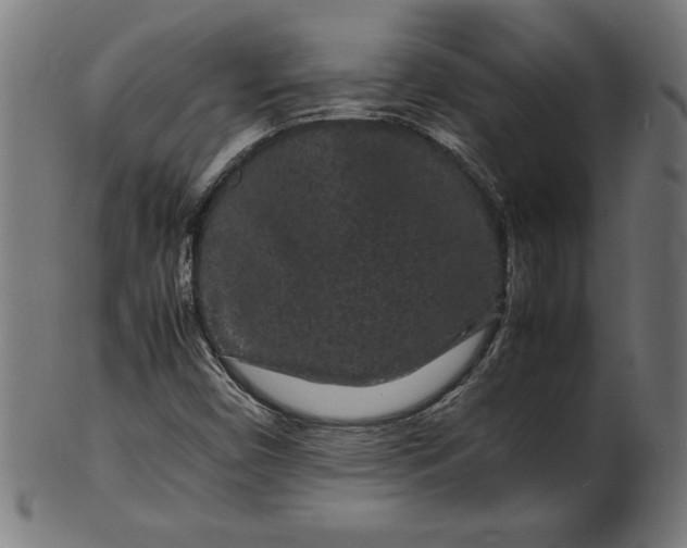 X0000099941450200806061507