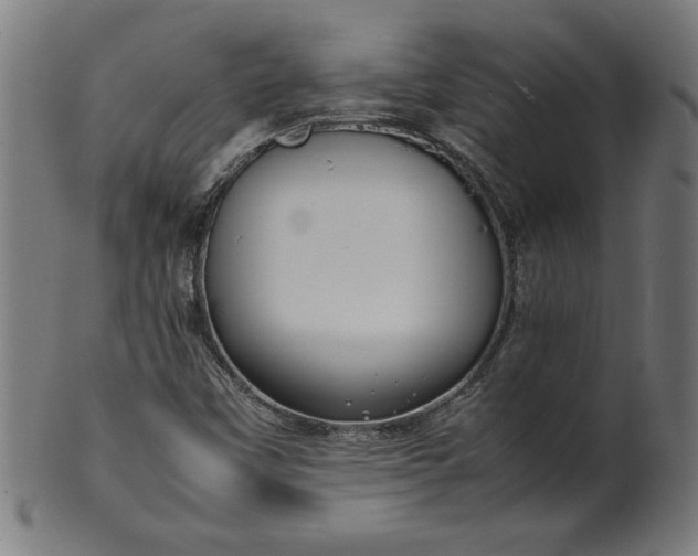 X0000099941451200806061507