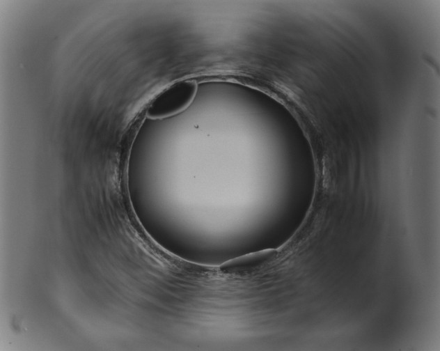X0000099941452200806061507