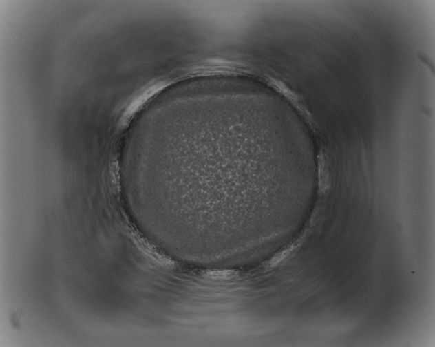 X0000099941453200806061507