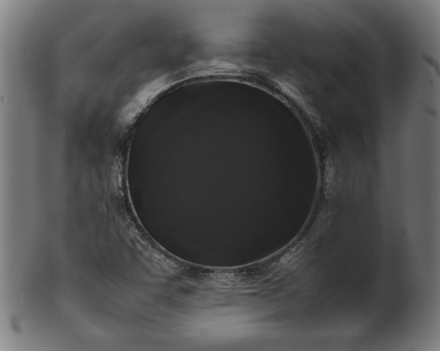 X0000099941455200806061507
