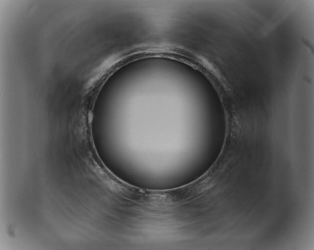 X0000099941456200806061507