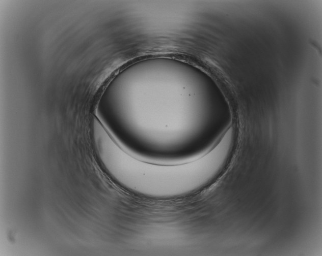 X0000099941457200806061507