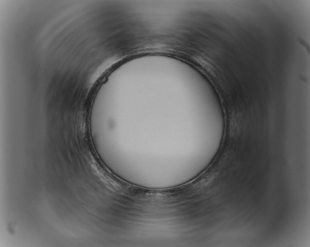 X0000099941458200806061507
