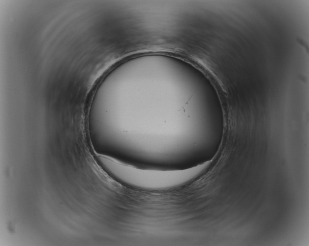 X0000099941460200806061507