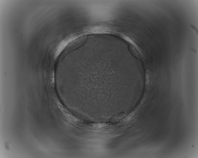 X0000099941461200806061507