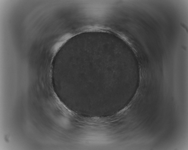 X0000099941463200806061507