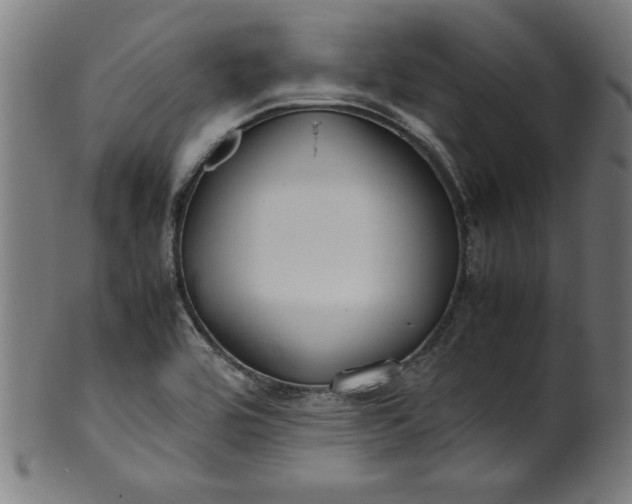X0000099941464200806061506